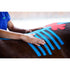 VetkinTape- Professionelles Kinesiologie Tape für Tiere 6cm x 5m