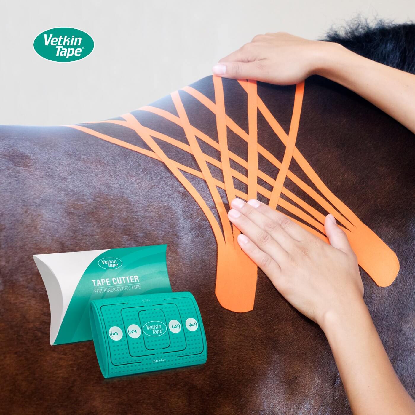 VetkinTape Cutter - Kompakter Tape-Schneider für Tierphysiotherapie und Reha - Schneidegerät für gleichmäßige Kinesiotape-Streifen. Anwendung am Pferd mit einem Lymphtape