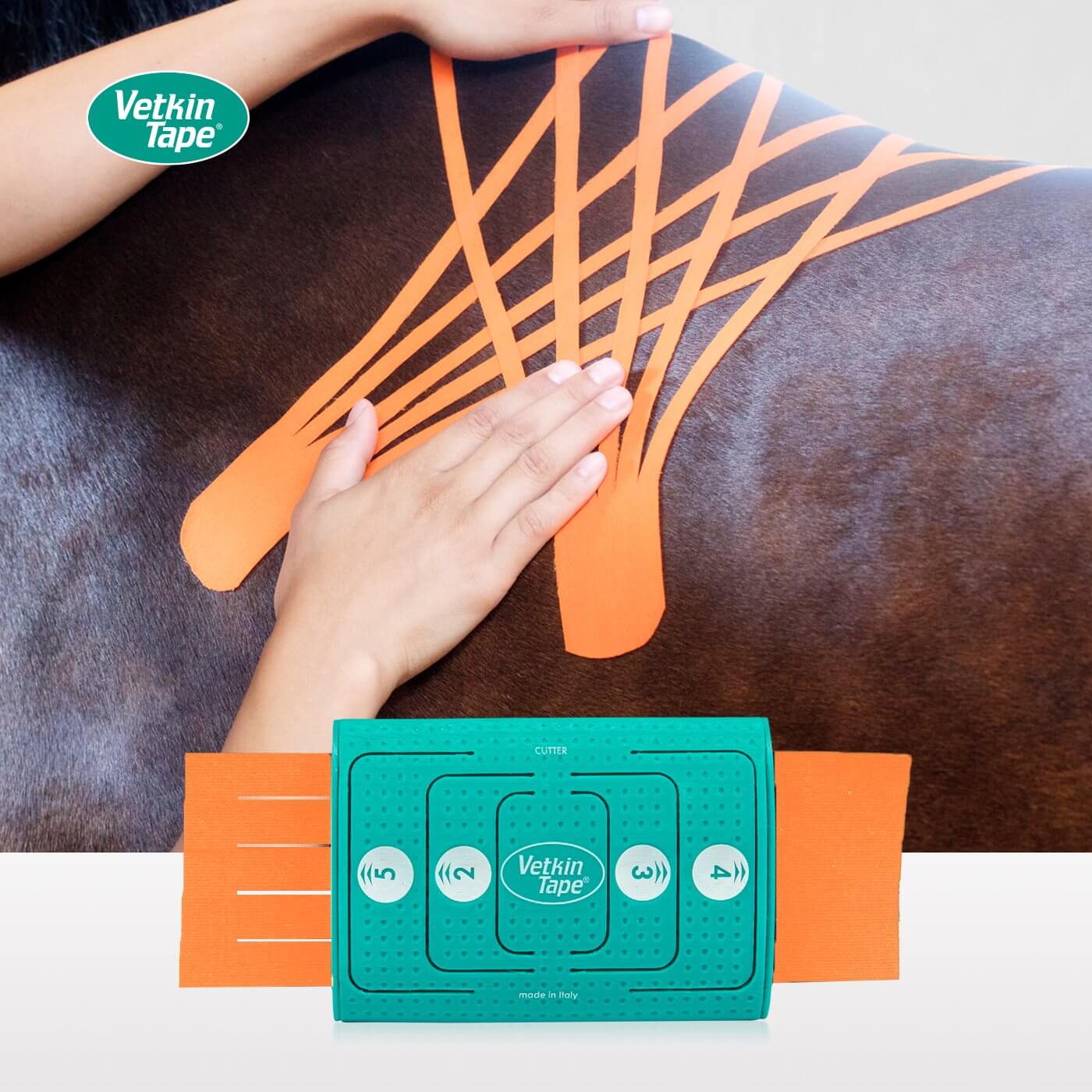 VetkinTape Cutter – 2 bis 5 Streifen aus 6 cm Tape schneiden - Schneidegerät für gleichmäßige Kinesiotape-Streifen für schnelles und sauberes Arbeiten. Anwendung hier am Pferd it einem 4 Streifen Lymphtape