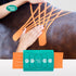 VetkinTape Cutter – 2 bis 5 Streifen aus 6 cm Tape schneiden - Schneidegerät für gleichmäßige Kinesiotape-Streifen für schnelles und sauberes Arbeiten. Anwendung hier am Pferd it einem 4 Streifen Lymphtape