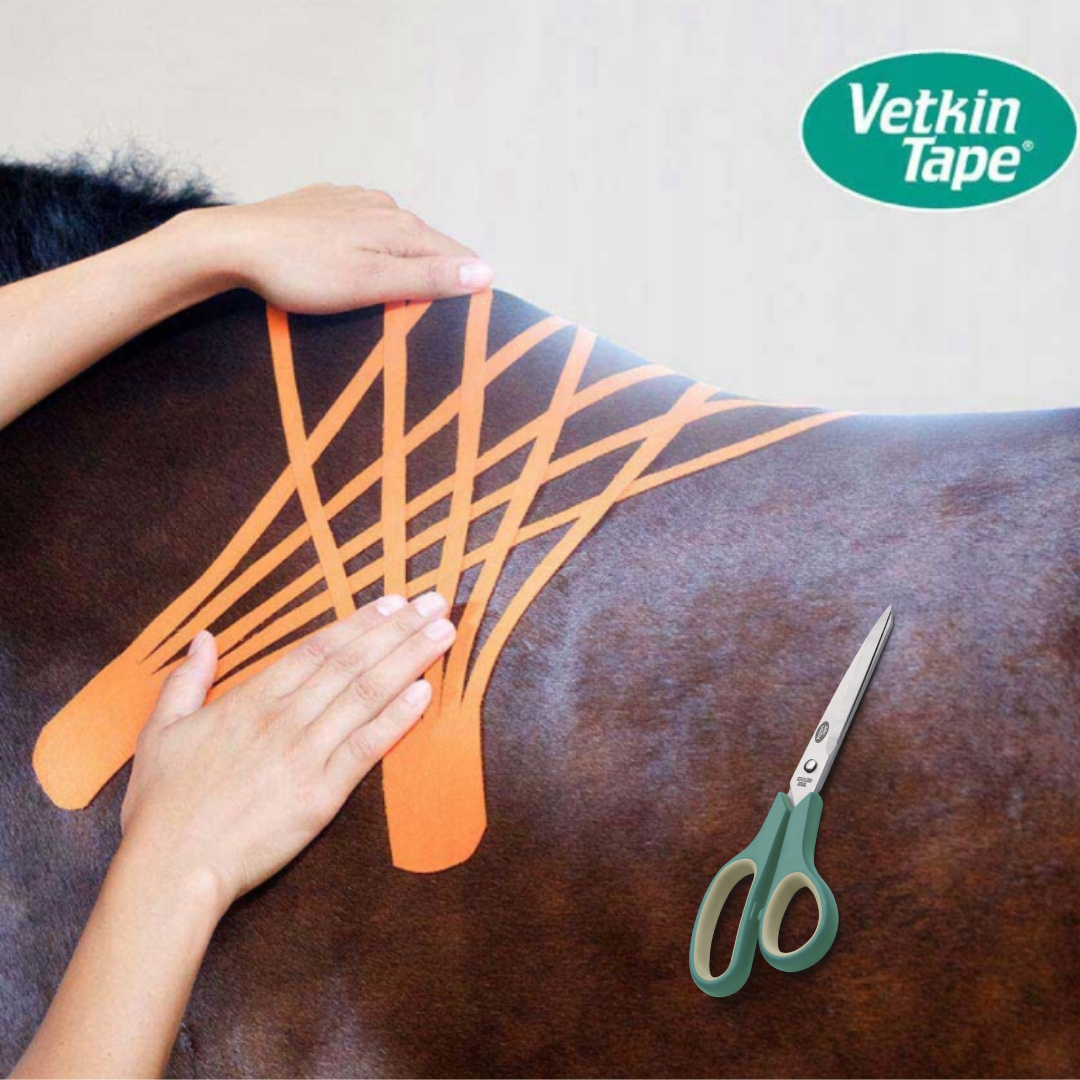 VetkinTape Schere für saubere Schnitte bei elastischem Kinesiotape - für präzises Zuschneiden von Tape