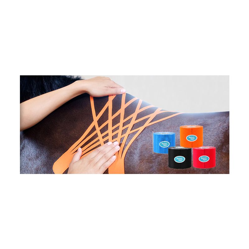 Tape-Schere mit glatten Schneidkanten für exakte Anpassung - hier angewandt für Lymphtaping am Pferd