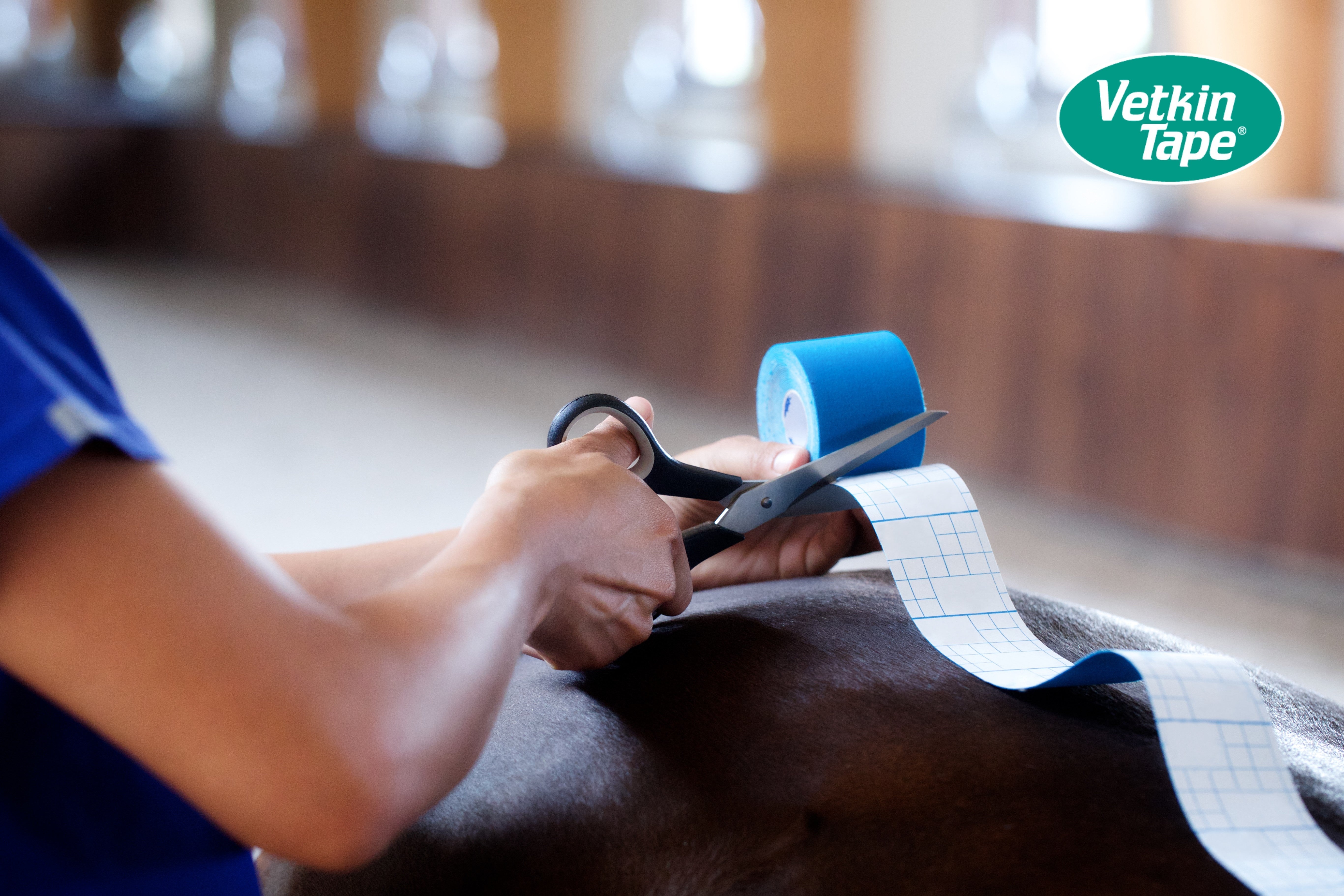 VetkinTape Schere für saubere Schnitte bei elastischem Kinesiotape -Professionelle Tape-Schere für Pferde- und Sporttherapie